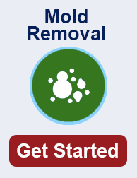 mold remediation in Fort Collins TN